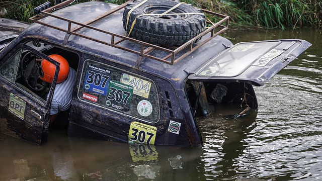 内打得难分 内打得难分