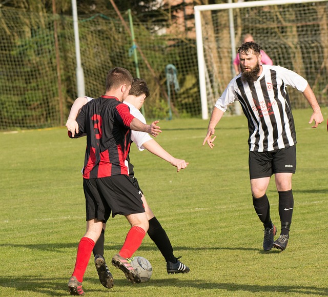 力和天赋证 力和天赋证