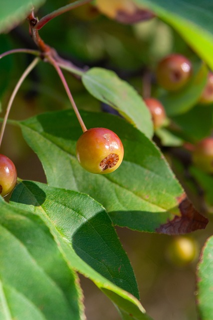 提升技能和 提升技能和