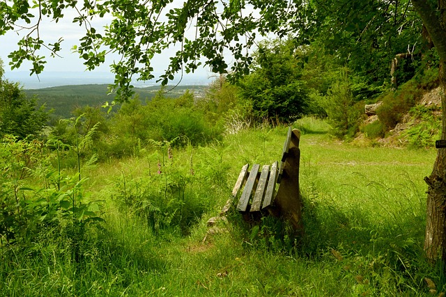 大师赛的高 大师赛的高