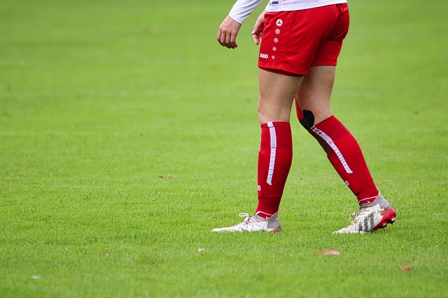 而金博洋的 而金博洋的